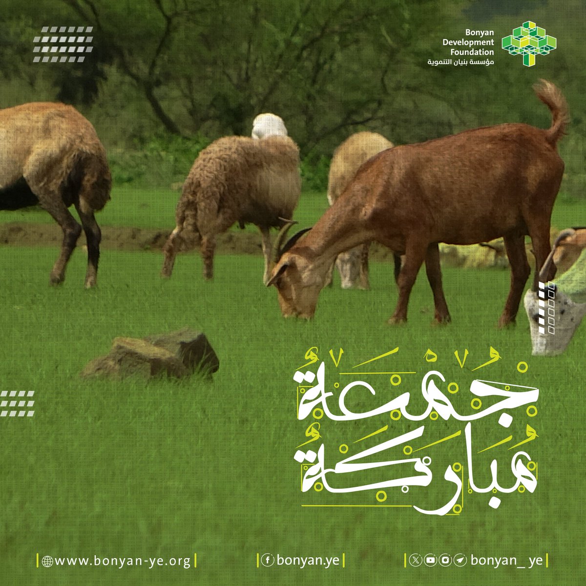 جمعــة مباركــة..

#مؤسسة_بنيان_التنموية #اليمن