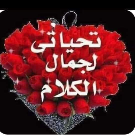 غادة المشهداني (@k39kq) on Twitter photo <a href="/kutbi_Ask66/">Ali S Kutbi</a> <a href="/__hms3/">•• همســآت ••</a> <a href="/qmr_raq/">قمر العراق</a> <a href="/Q__tz/">قـُـطُـزْ</a> <a href="/1s__8h/">للبيع💫</a> <a href="/_MJ1111/">🇸🇦✨ ꧁ أبوصالح ꧂ ✨🇸🇦</a> <a href="/Um_Nurrs_/">Üm Nurrs</a> <a href="/_ssss_gggg/">الظِلال🇯🇴</a> <a href="/M62687551/">🇮🇶❤️🇮🇶ENG.MOHAMMED 1 🇮🇶❤️🇮🇶</a> <a href="/MAlshahdhy/">ابو العز الشاحذي</a> <a href="/Kamala_ala/">D.Kamal Awad</a> <a href="/NajeebThafree/">نجيب الظافري</a> <a href="/alsalihynajat/">najatalsalihy</a> الحمد لله على كل حال ارضاناوارضاك الله من فضله،، ان بعد الصبر. جبر. . ربنا يكرمك بكل ماهو خير استاذ #علي وابدعت ب أجمل الكلمات 👑🌹🌺🌸
ملك الحروف وفقك الله إلى كل ما يحبه ويرضاه
#دعم_المشهدانية
#قروبات_البابلي_للاضافات
#مساء_الــود_والـــورد <a href="/kutbi_Ask66/">Ali S Kutbi</a> <a href="/__hms3/">•• همســآت ••</a> <a href="/qmr_raq/">قمر العراق</a> <a href="/Q__tz/">قـُـطُـزْ</a> <a href="/1s__8h/">للبيع💫</a> <a href="/_MJ1111/">🇸🇦✨ ꧁ أبوصالح ꧂ ✨🇸🇦</a> <a href="/Um_Nurrs_/">Üm Nurrs</a> <a href="/_ssss_gggg/">الظِلال🇯🇴</a> <a href="/M62687551/">🇮🇶❤️🇮🇶ENG.MOHAMMED 1 🇮🇶❤️🇮🇶</a> <a href="/MAlshahdhy/">ابو العز الشاحذي</a> <a href="/Kamala_ala/">D.Kamal Awad</a> <a href="/NajeebThafree/">نجيب الظافري</a> <a href="/alsalihynajat/">najatalsalihy</a> الحمد لله على كل حال ارضاناوارضاك الله من فضله،، ان بعد الصبر. جبر. . ربنا يكرمك بكل ماهو خير استاذ #علي وابدعت ب أجمل الكلمات 👑🌹🌺🌸
ملك الحروف وفقك الله إلى كل ما يحبه ويرضاه
#دعم_المشهدانية
#قروبات_البابلي_للاضافات
#مساء_الــود_والـــورد