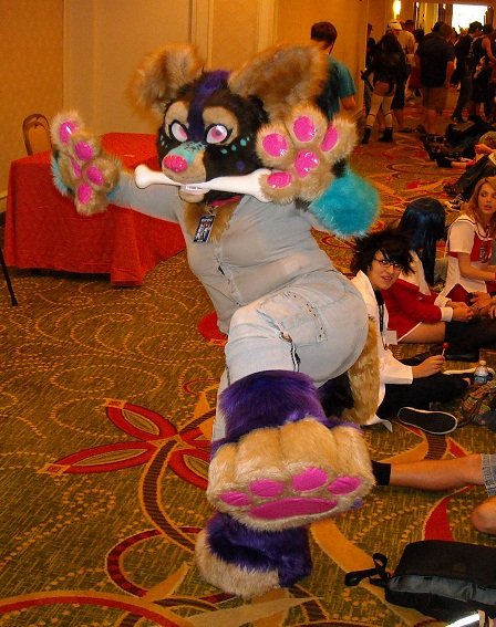 HollydaysInc's tweet photo. I know I did #WaybackWednesday but what about #ThrowbackThursday ? Lolol 
Lots of wonderful memories with wonderful people. Some I still talk to daily, some not in a long time. The furry community has been such a warm and welcoming place for me throughout the years 💗 💖 💓 https://t.co/j5qePM2g09