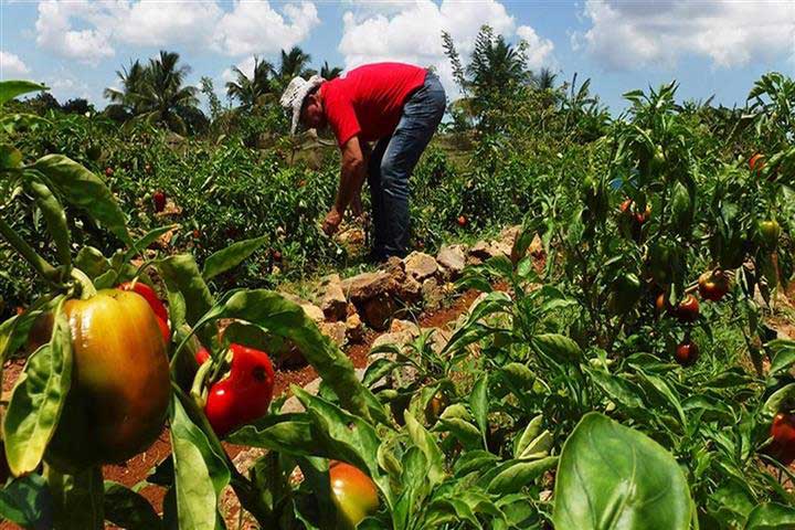 radiocamaguey's tweet photo. #Noticias 
Trabaja #Camagüey en la implementación de la Ley 148
Por @RodolfoMedinaH3 
.
.
.
https://t.co/ZWMQOl0xRx https://t.co/nZYCK5QEXL