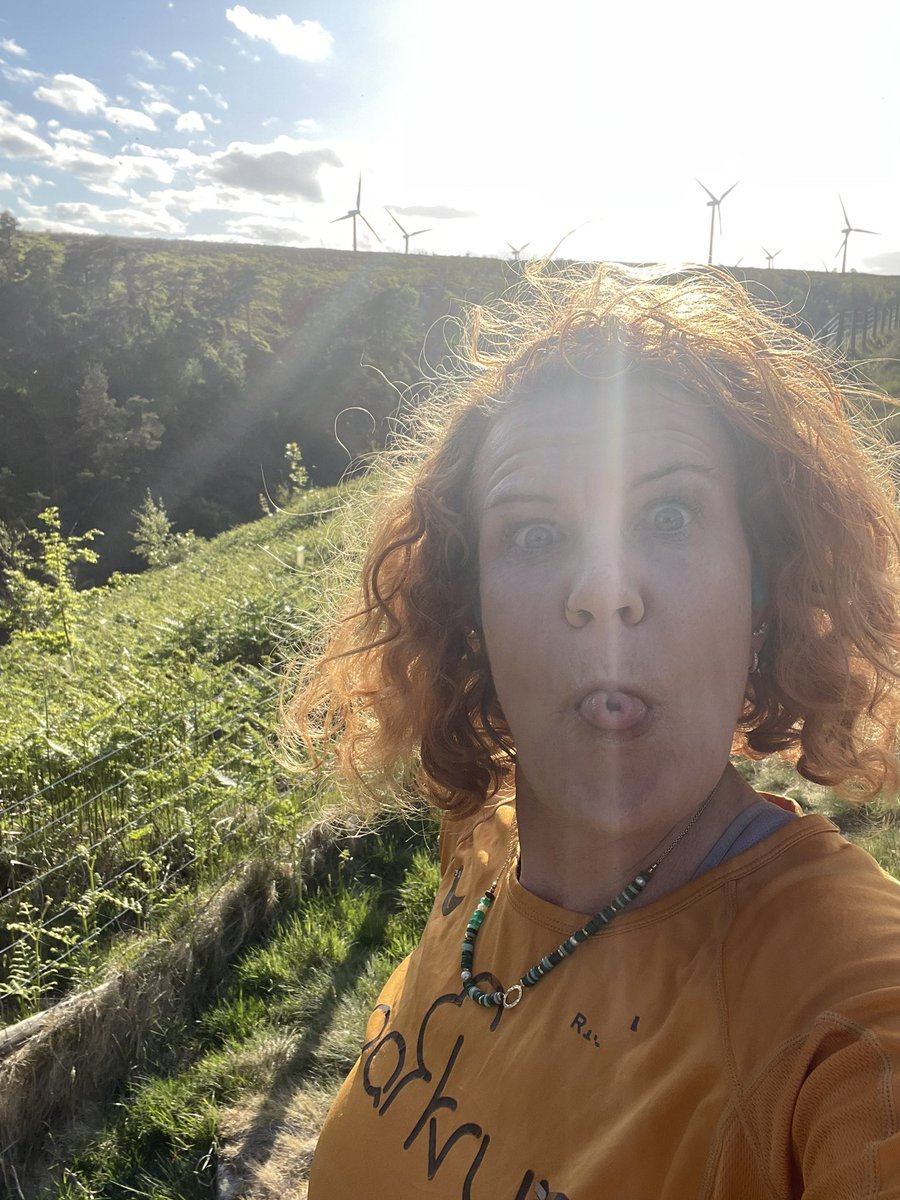 musingsofarunner tweet media