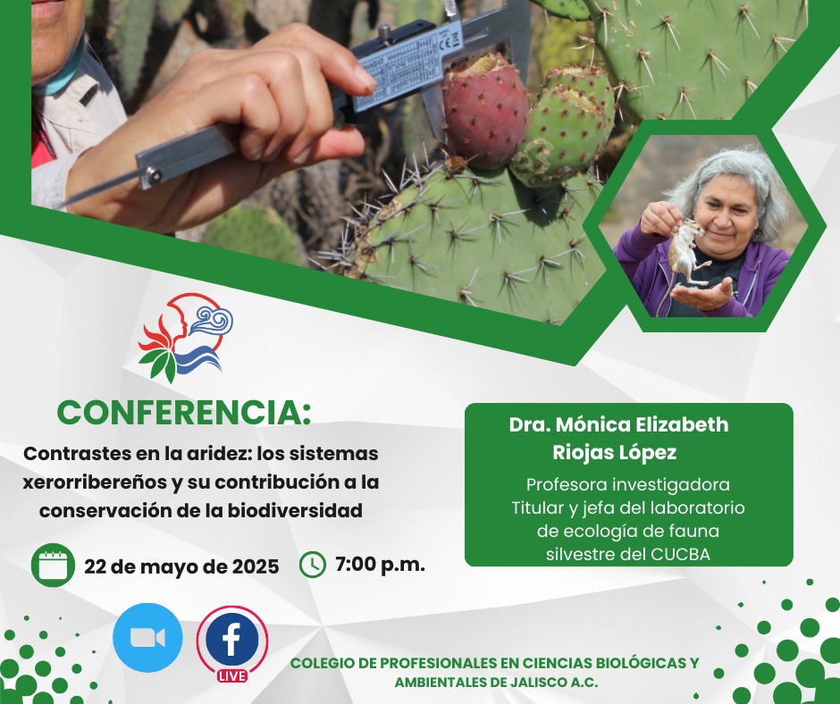 cobiamjal's tweet photo. ¡Atención!
Te esperamos en la conferencia "Contrastes en la aridez 🌵: los sistemas xerorribereños y su contribución a la conservación de la biodiversidad" 🐀 impartida por la Dra. Mónica E. Riojas López, Profesora Investigadora, Lab. de Ecología de fauna Silvestre, CUCBA, UDG. https://t.co/xqdwhDCUUs