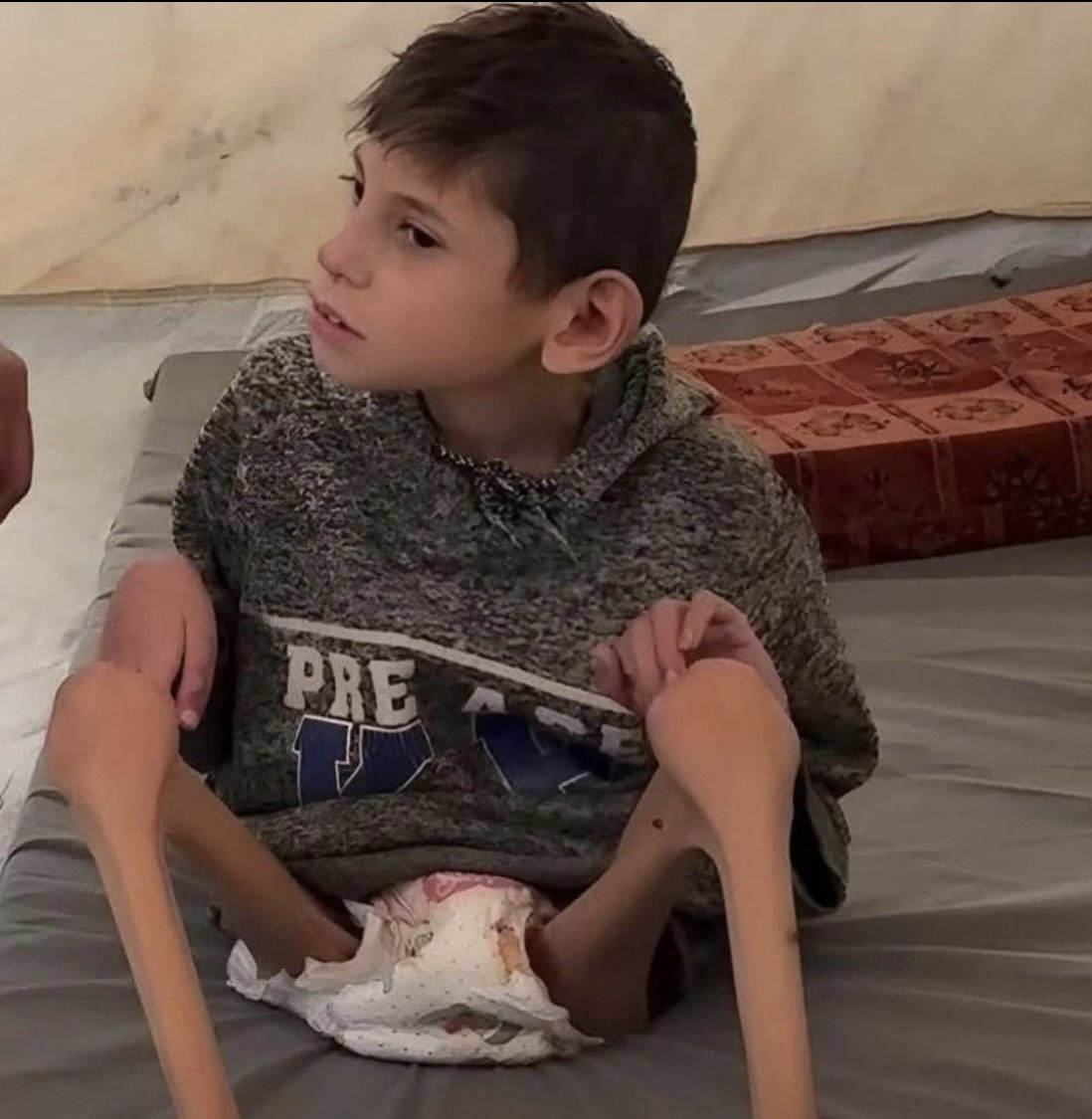 Peace SOS tweet media