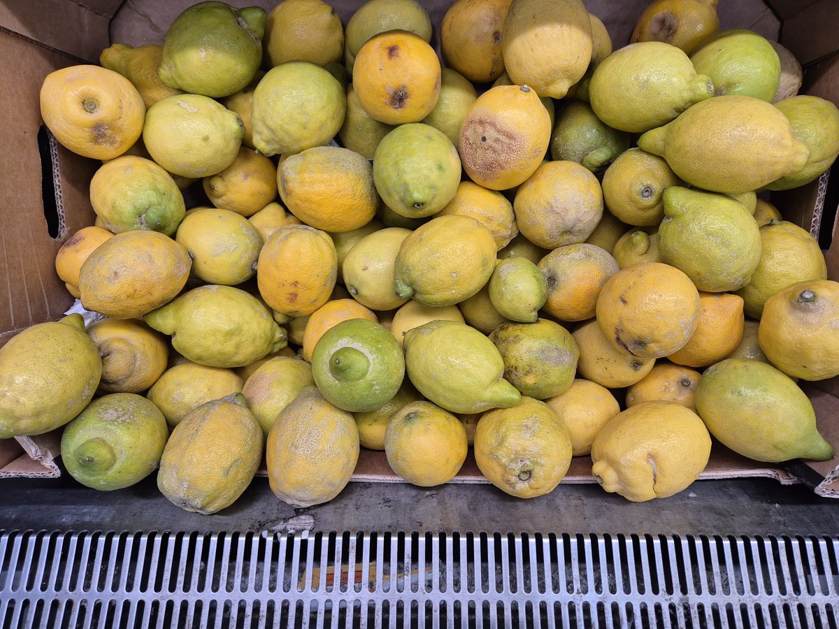 Alison Dransfield tweet media