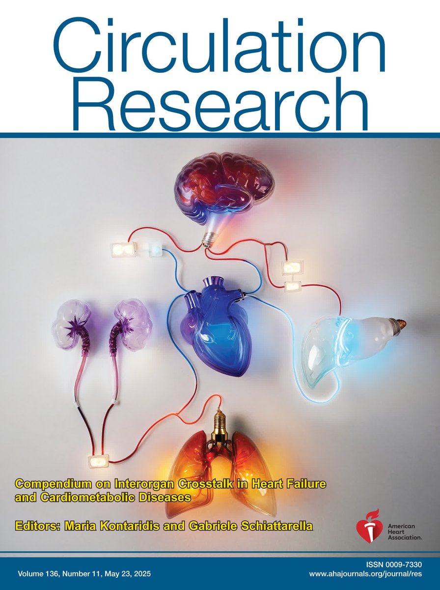 Circulation Research (@circres) on Twitter photo <a href="/CircRes/">Circulation Research</a> May 23rd Issue is Out!
Compendium on Interorgan Crosstalk in Heart Failure and Cardiometabolic Diseases In this issue read 14 reviews & 5 Research Letters: ahajrnls.org/4kaMnLo
<a href="/gabrieleschiat1/">Gabriele G. Schiattarella</a> <a href="/mkontari/">Maria Kontaridis</a> <a href="/CircRes/">Circulation Research</a> May 23rd Issue is Out!
Compendium on Interorgan Crosstalk in Heart Failure and Cardiometabolic Diseases In this issue read 14 reviews & 5 Research Letters: ahajrnls.org/4kaMnLo
<a href="/gabrieleschiat1/">Gabriele G. Schiattarella</a> <a href="/mkontari/">Maria Kontaridis</a>