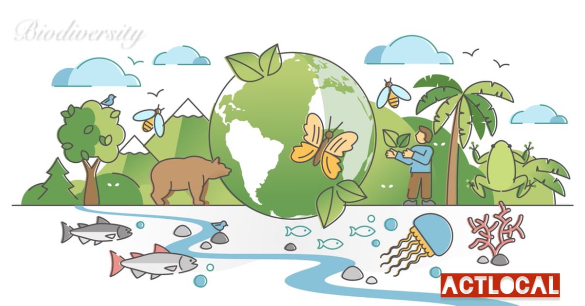 SumusBlog's tweet photo. The entire cycle of our lives, from breathing to providing food and surrounding us with all the elements necessary for wellbeing #Biodiversity
#ActLocal বাংলাদেশে কীটনাশক ব্যবহারে আইনের যথাযথ প্রয়োগ খুবই জরুরি। কীটনাশকের অত্যাধিক ব্যবহার আমাদের স্বাস্থ্য ঝুঁকির পাশাপাশি পরিবেশের জন্য মারাত্মক হুমকি সৃষ্টি করছে। বাড়ছে স্থলভূমি, পানি ও প্রকৃতির দূষন। যা ধ্বংস করছে প্রাকৃতিক নিয়মে পরাগায়নের সবচেয়ে জরুরি মৌমাছি, প্রজাপতিসহ অসংখ্য উপকারী পতঙ্গ এবং শামুক-ঝিনুকসহ অনেক জলজ প্রজাতি। #জীববৈচিএ #BiodiversityDay #Climate #LocalAction #climatejustice #resilience
https://t.co/NuGLn3C2Ms