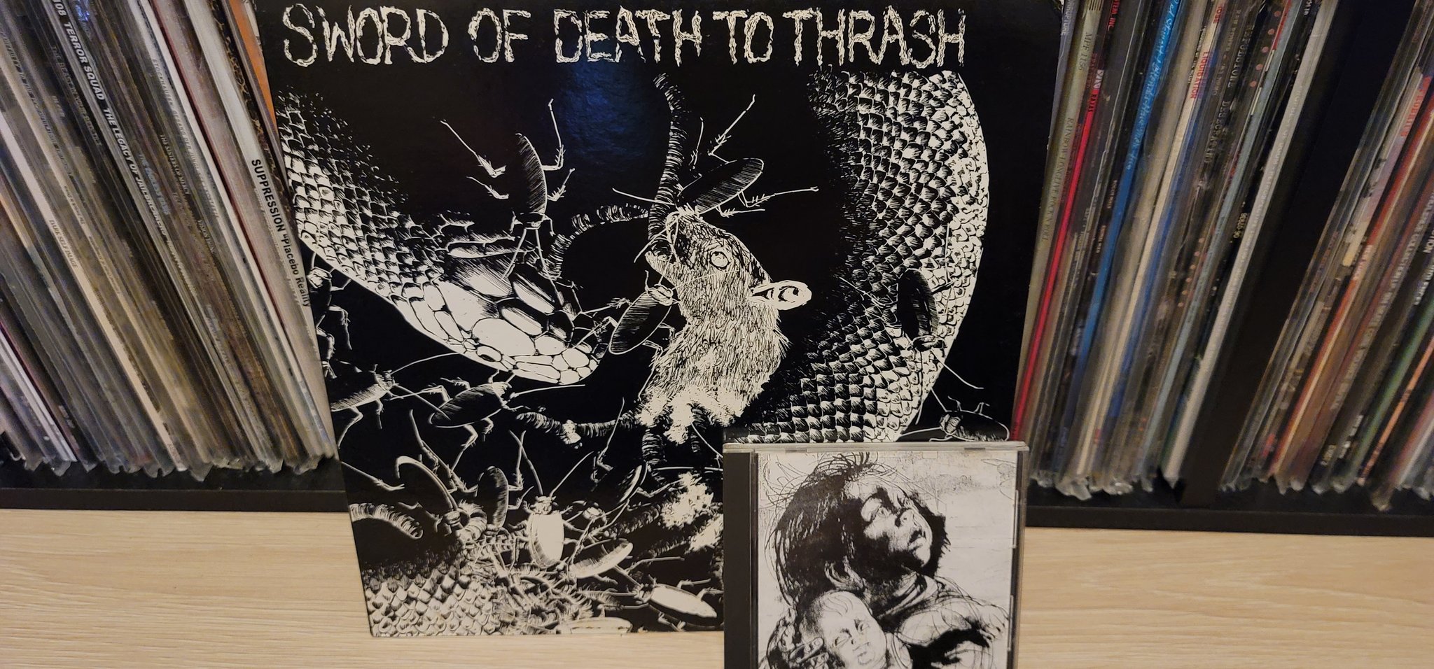 邦楽 HELLCHILD / HELL HOLE HELLCHILD / ヘルチャイルド ページ-