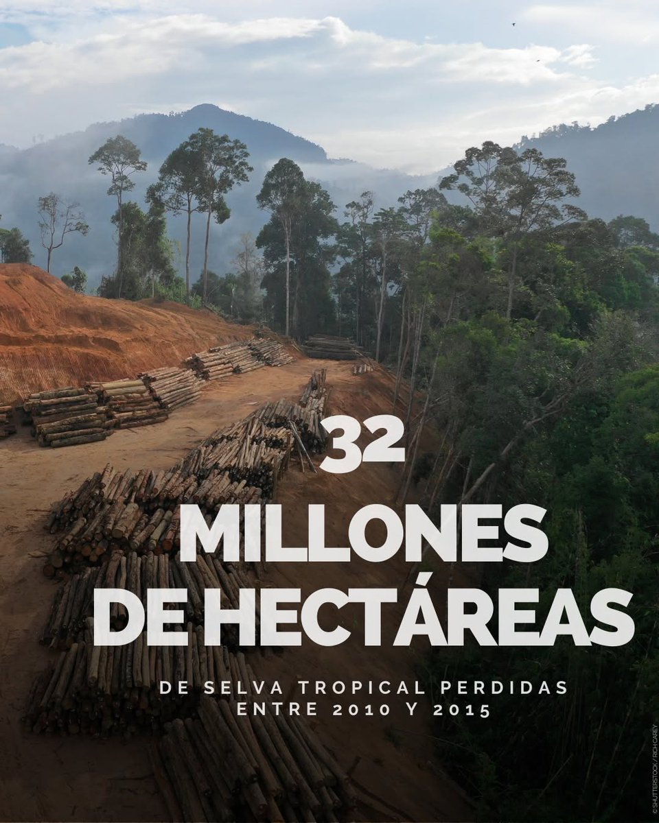 Hoy es el dia internacional de la Biodiversidad. Hay que cuidar la Biodiversidad, sin ellas la vida sería difícil. #biodiversidad #DiaInternacionaldelaBiodiversidad