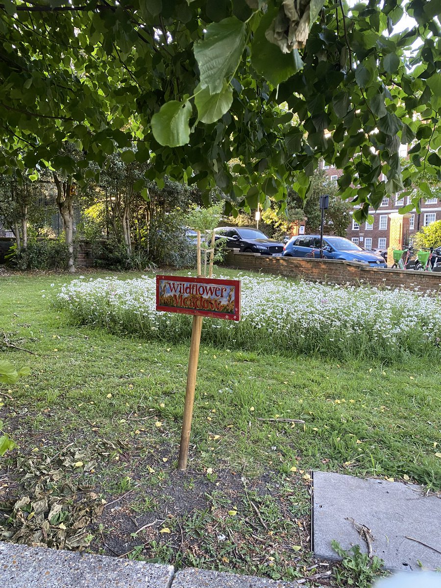 Rebecca Filer (@rebeccafiler) on Twitter photo New little wildflower meadow at Constable House in Chalk Farm looking fabulous šš¼
Great work <a href="/ThinkDoCamden/">Think & Do Camden</a> š New little wildflower meadow at Constable House in Chalk Farm looking fabulous šš¼
Great work <a href="/ThinkDoCamden/">Think & Do Camden</a> š