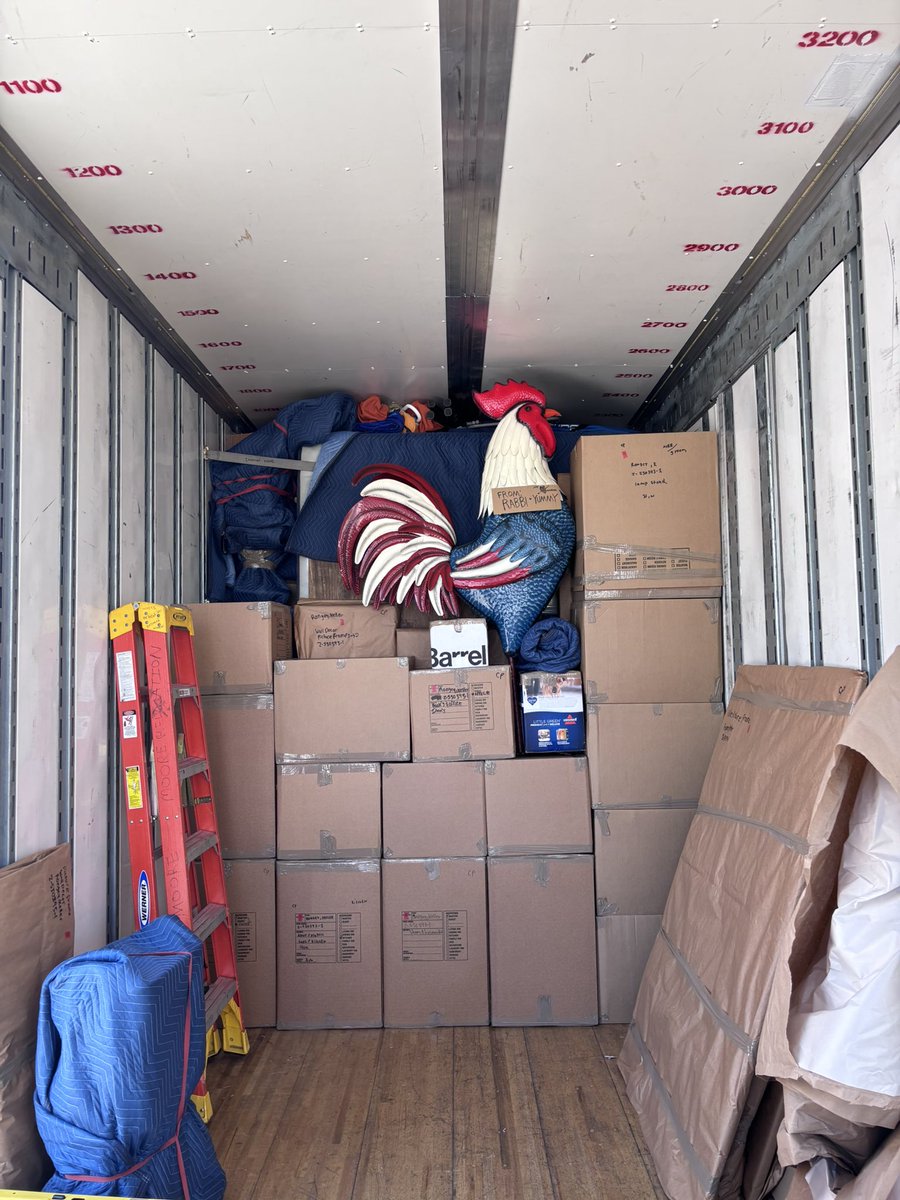 Cyber Kori tweet media