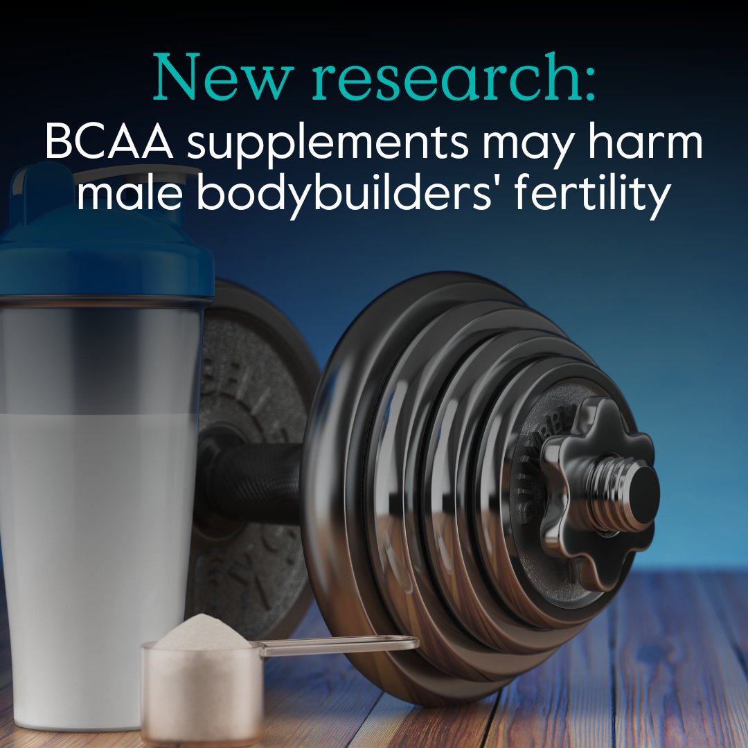 “the unrestricted use of dietary supplements for bodybuilding by athletes and consumers in general could be a public health concern."

New research in the journal 'Zygote' suggests that BCAA supplements may harm male bodybuilders' fertility.

Read more 🔗 cup.org/4mnNbOv