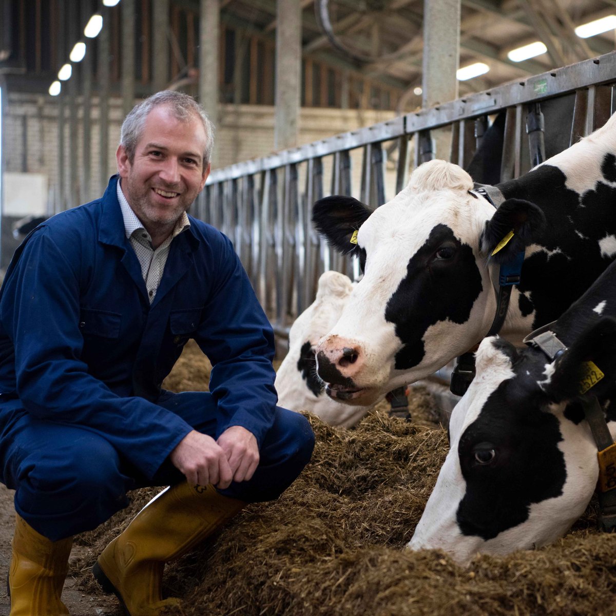 Cornell Animal Science (@cornellansci) on Twitter photo AnSci's <a href="/MielHostens/">Miel Hostens</a> won a grant from <a href="/BezosEarthFund/">Bezos Earth Fund</a> inaugural AI Grand Challenge for Climate and Nature. He'll use large-language models to integrate #data on cattle #methane production. His goal: to provide guidance on reducing #GHG impacts to benefit emerging economies. AnSci's <a href="/MielHostens/">Miel Hostens</a> won a grant from <a href="/BezosEarthFund/">Bezos Earth Fund</a> inaugural AI Grand Challenge for Climate and Nature. He'll use large-language models to integrate #data on cattle #methane production. His goal: to provide guidance on reducing #GHG impacts to benefit emerging economies.