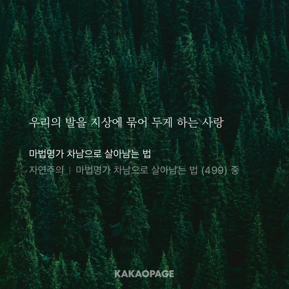 #너의_생일을_함께할_특권을_가지고_싶어

그들뿐만이 아니라 우리에게도 지상에 발을 디디고 살아갈 수 있는 힘을 주는 사랑스러운 왕세자님의 탄신을 기념하며…
rt 추첨 한 분 카카오페이지 만원권 선물해드립니다

#네_영혼이_잘됨같이_네가_범사에_잘되고_강건하기를_내가_간구하노라