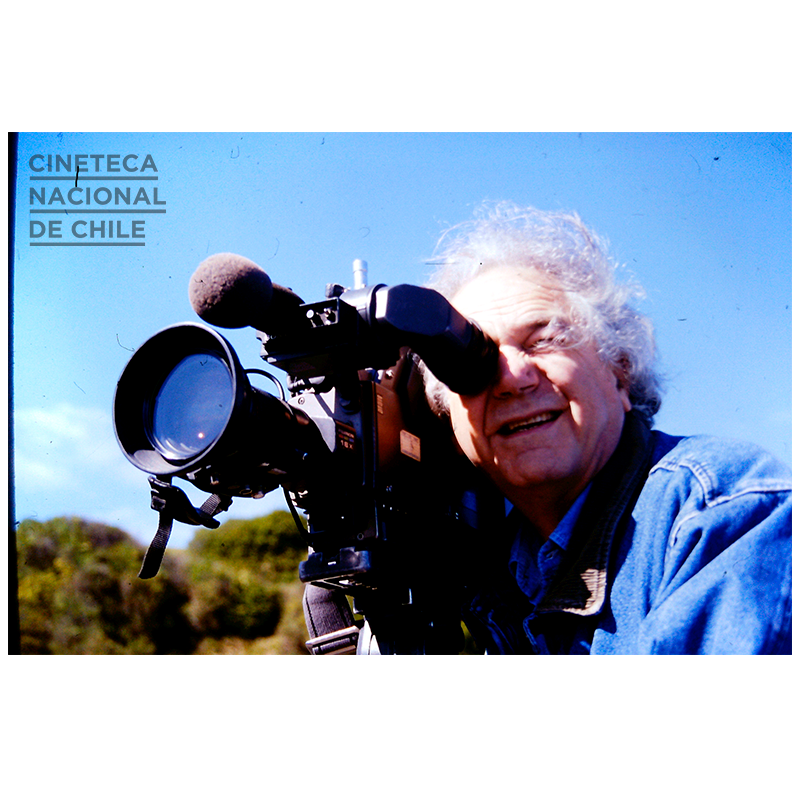 Cineteca Nacional de Chile tweet media