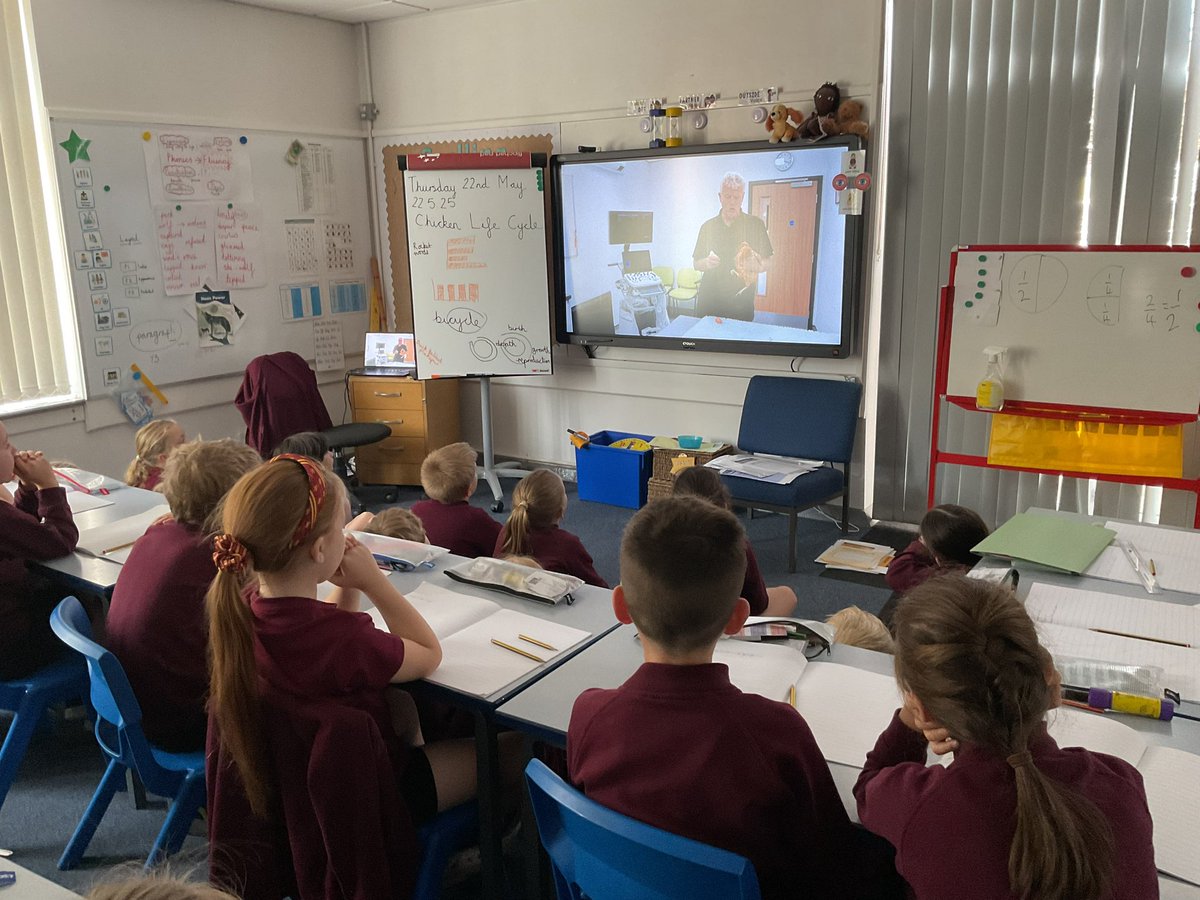 PDA_Y2's tweet image. We were fascinated when watching the time lapse of chicks hatching from the eggs, as we learned about the life cycle of a chicken. 🐣🐥🐓#pdascience