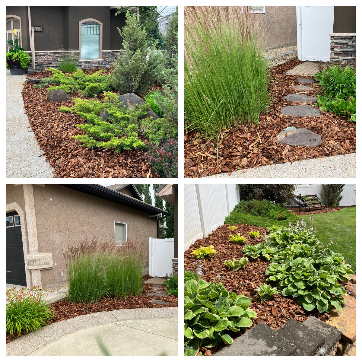 TrevorAslin's tweet photo. Might be a good time to get @ZachAslin to re beautify your mulch!

Here’s the mulch job Evergreen Yard and Landscape Solutions did at our house.

The fresh mulch smells as good as it looks!

Yard work is Hard work, let Zach look after it!

403-872-9250
Tell him Trev sent you👍👍 https://t.co/hLCAmUPq0y