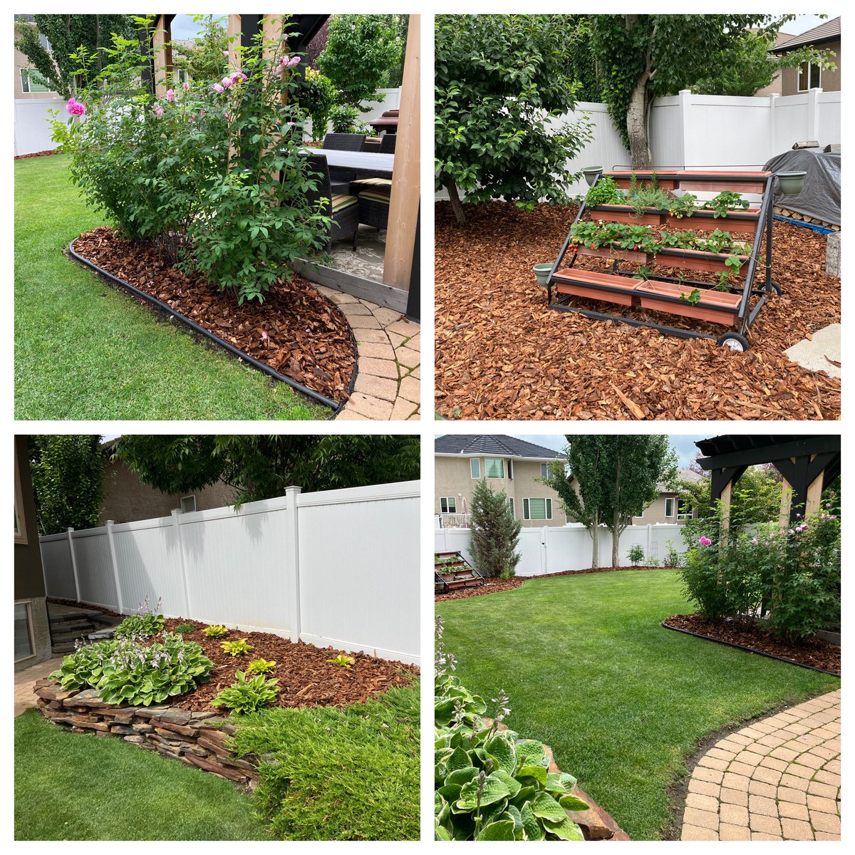 TrevorAslin's tweet photo. Might be a good time to get @ZachAslin to re beautify your mulch!

Here’s the mulch job Evergreen Yard and Landscape Solutions did at our house.

The fresh mulch smells as good as it looks!

Yard work is Hard work, let Zach look after it!

403-872-9250
Tell him Trev sent you👍👍 https://t.co/hLCAmUPq0y