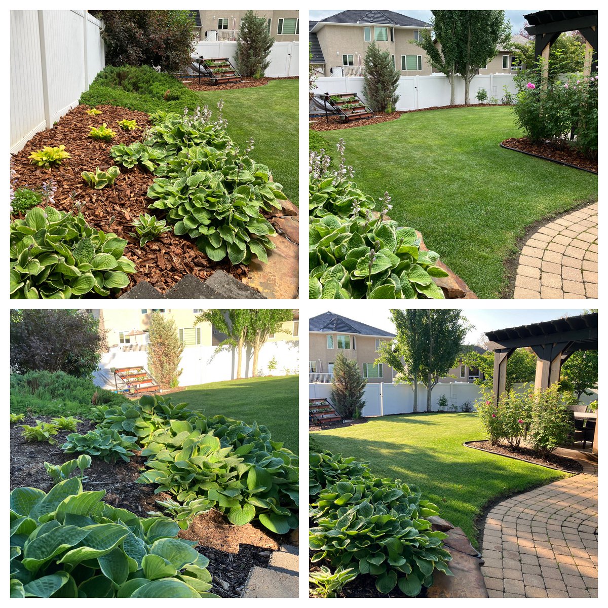 Might be a good time to get <a href="/ZachAslin/">Zach Aslin</a> to re beautify your mulch!

Here’s the mulch job Evergreen Yard and Landscape Solutions did at our house.

The fresh mulch smells as good as it looks!

Yard work is Hard work, let Zach look after it!

403-872-9250
Tell him Trev sent you👍👍
