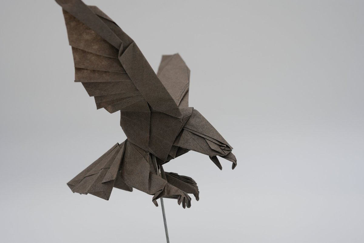 sqluhao's tweet photo. 涂开明设计的老鹰eagle
Eagle design by Tu Kaiming from book《Origami Works of Tu Kaming》 
https://t.co/0D0fKmVqSl https://t.co/hLR03mrJ0y