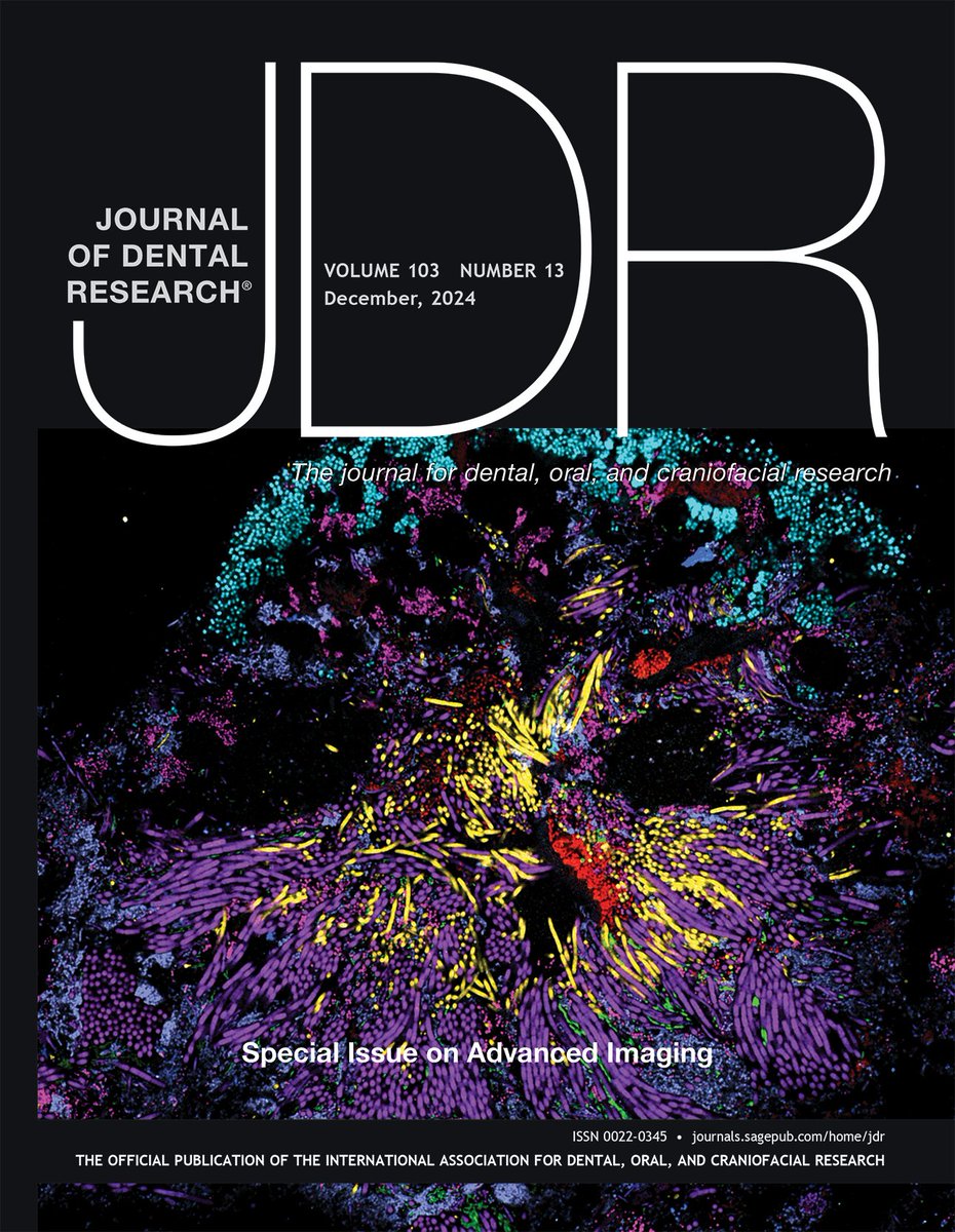 ForsythResearch's tweet image. We're honored that an AFI image was recognized by @IADR for The Journal of Dental Research @JDentRes cover of the year!
The image was captured by AFI's very own Drs. Tabita Ramirez-Puebla, Jessica Mark Welch, and Gary Borisy.
Learn more: ow.ly/ueYj50VX8Jc