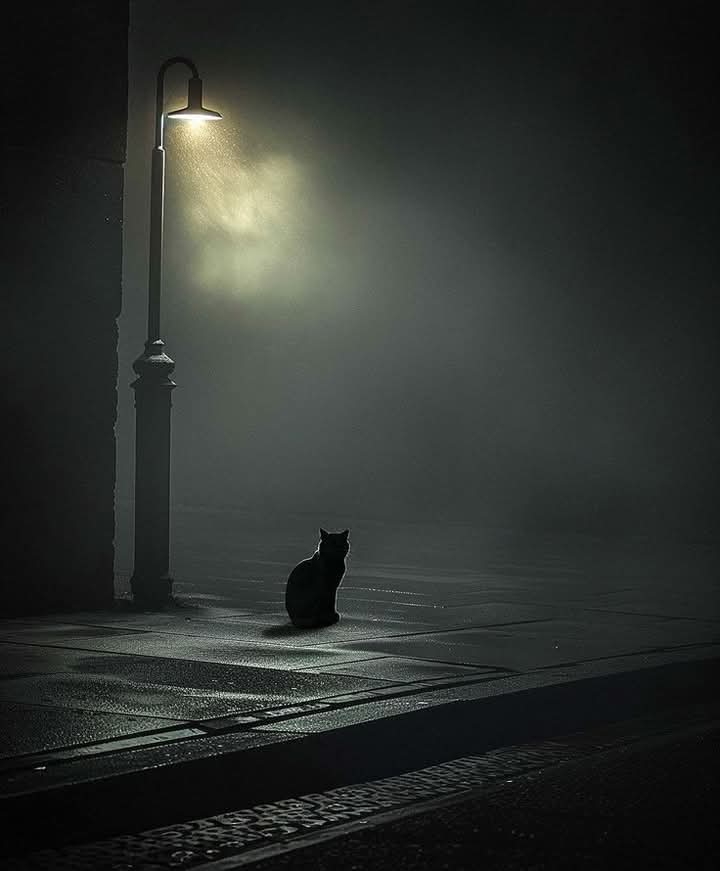 کبھی کبھی اِنسان کا خاموش ہو جانا ہی بہتر ہوتا ہے بجائے اِس کے کہ ؛ ہم لوگوں کو سُنا کر بتائیں کہ ؛ ہم کیسا محسوس کر رہے ہیں ، کِیونکہ ؛ یہ اٙمٙر اُس وقت مزید تکلیف کا باعث بنتا ہے جب لوگ ہمیں سُن تو رہے ہوتے ہیں مگر ہمیں ، ہماری کیفیت ، درد و تکلیف کو نہیں سمجھ پا رہے ہوتے! ۔ "