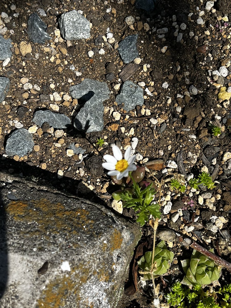 今日一日すっごい悩んでて病みそうだったんだけど、考えてたら思ったよりどうでもいい事だった。おやすみぃ。