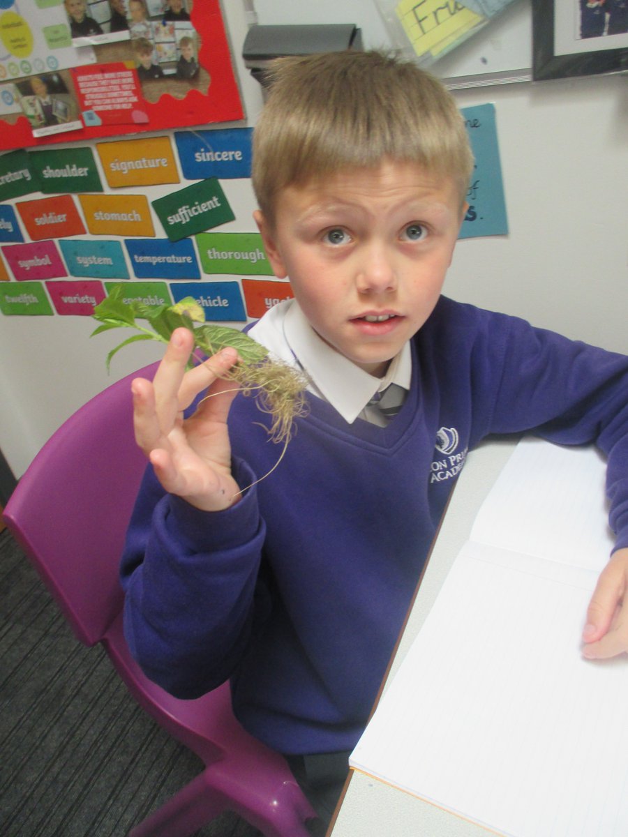 Beacon Primary Academy tweet media