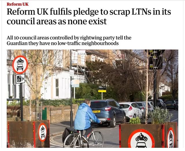 Lamna nasus tweet media