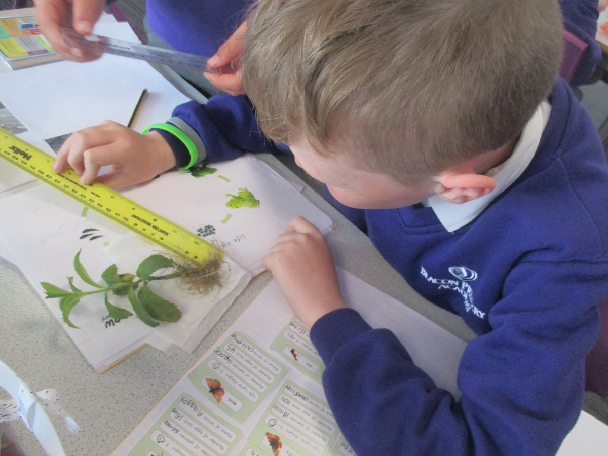 Beacon Primary Academy tweet media