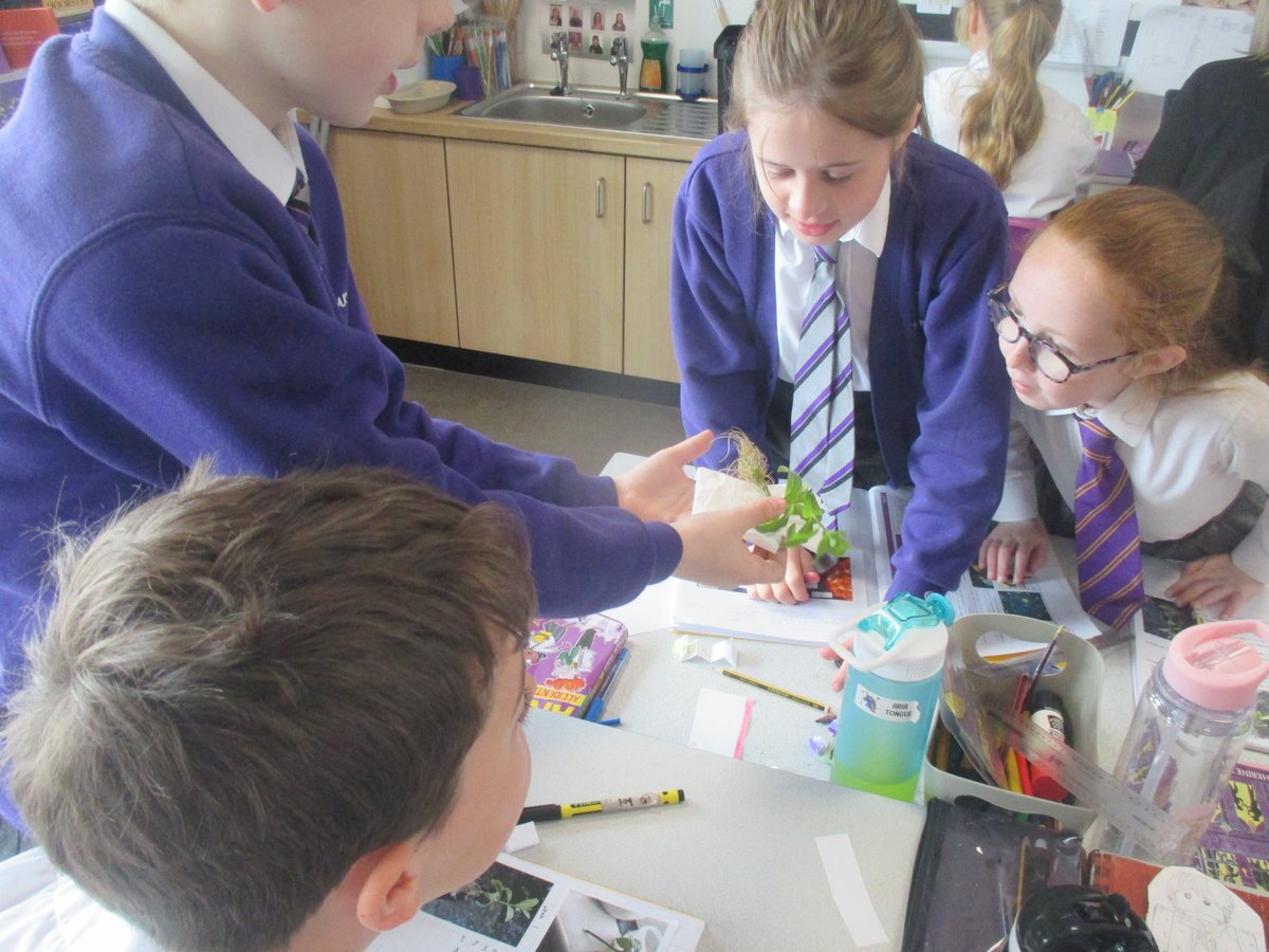 Beacon Primary Academy tweet media