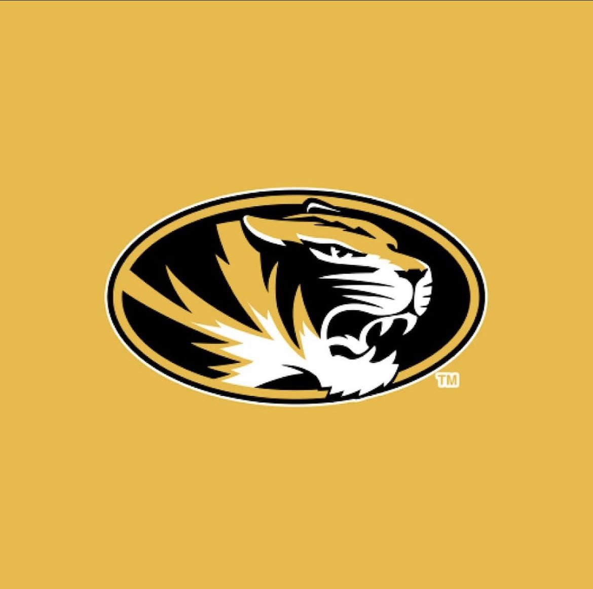 JAMAL ROBINSON JR (@jamalrobjr8) on Twitter photo Extremely blessed to receive an offer from the university of mizzou!🐯
<a href="/CoachCato1/">Derham Cato</a> <a href="/JohnGarcia_Jr/">John Garcia, Jr.</a> <a href="/adamgorney/">Adam Gorney</a> <a href="/RivalsFriedman/">Adam Friedman</a> <a href="/Andrew_Ivins/">Andrew Ivins</a> <a href="/TomLoy247/">Tom Loy</a> Extremely blessed to receive an offer from the university of mizzou!🐯
<a href="/CoachCato1/">Derham Cato</a> <a href="/JohnGarcia_Jr/">John Garcia, Jr.</a> <a href="/adamgorney/">Adam Gorney</a> <a href="/RivalsFriedman/">Adam Friedman</a> <a href="/Andrew_Ivins/">Andrew Ivins</a> <a href="/TomLoy247/">Tom Loy</a>