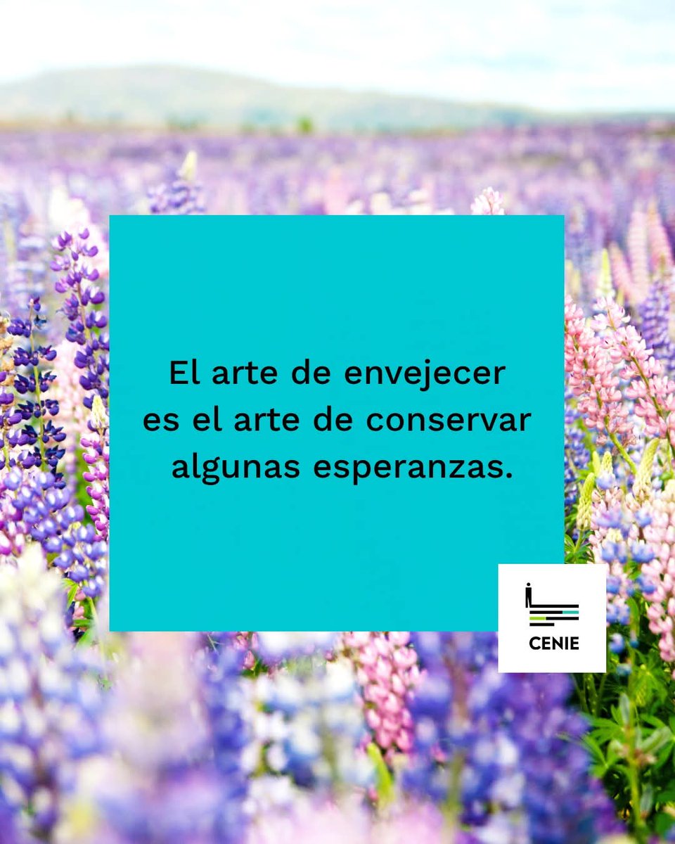 🌿✨ El arte de envejecer es el arte de conservar algunas esperanzas. ✨🌿

Con el paso de los años no perdemos belleza, sino que la transformamos en historias, experiencias y sabiduría. Cada arruga es el reflejo de una sonrisa, cada cana un testimonio de lucha y aprendizaje.