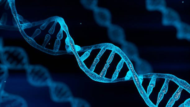 El jengibre es el potenciador del metabolismo número uno.

Consumirlo diariamente puede reducir el riesgo de cáncer, apoyar el sistema inmunológico y mejorar la digestión.

A continuación te explicamos cómo consumirlo correctamente para evitar efectos secundarios.

//HILO//
