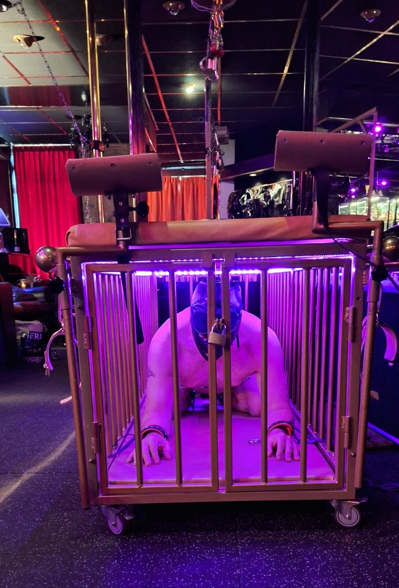 MeesteresDonna's tweet photo. Just another day at the office 😉
#kooi
#opsluiting 
#submission 
#CBT
#MeesteresDenHaag 

https://t.co/ZZsMfm1Yb5 
06 40832819 
@DomaSMStudio https://t.co/dWl9Bdo5cc