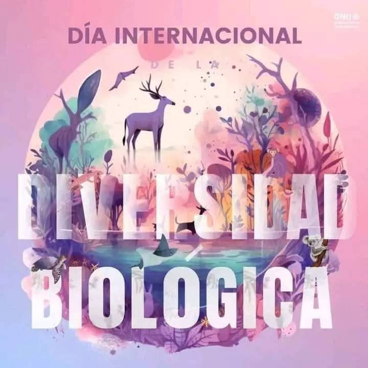 mirielalg's tweet photo. Cada 22 de mayo se celebra el Día Internacional de la diversidad Biológica. 
#CDRCuba
#ArtemisaJuntosSomosMás 
#CDRArtemisa https://t.co/twx0P1AoVt