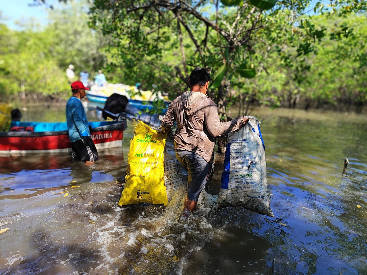LaPazCentro12's tweet photo. Se ha iniciado el programa de limpieza del Estero Jaltepec en el Distrito San Luis La Herradura, nuestra responsabilidad es tener un entorno limpio libre de basura y fomentar en las nuevas generaciones consciencia ambiental sobre nuestro Jaltepec. https://t.co/5SlgnFYAlb