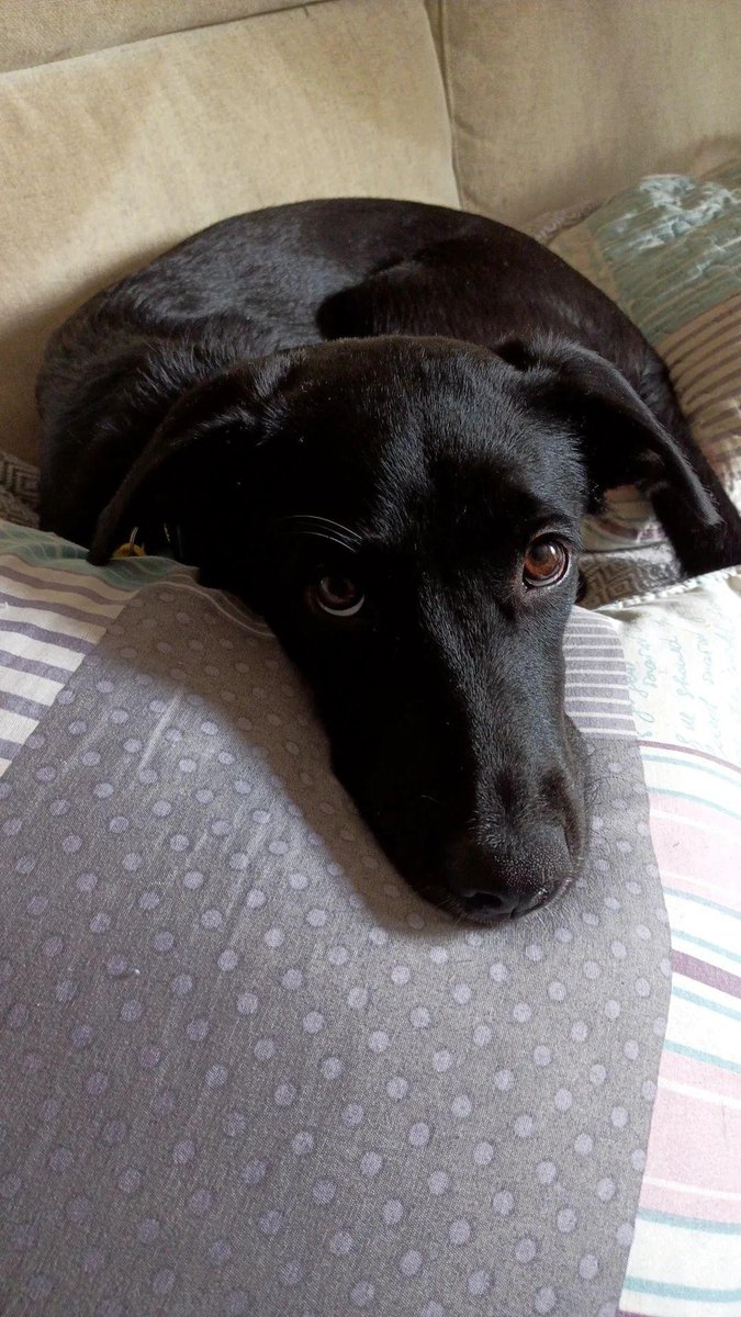 K'ɾɾιƙ 🇵🇸 tweet media