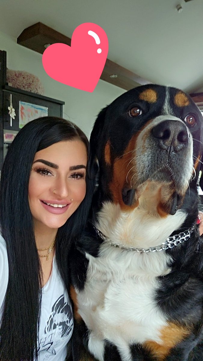 MelissaHotWorld's tweet photo. My big boy❤️

#DogMom #cute #AnimalLovers https://t.co/IcFjfMlZCA