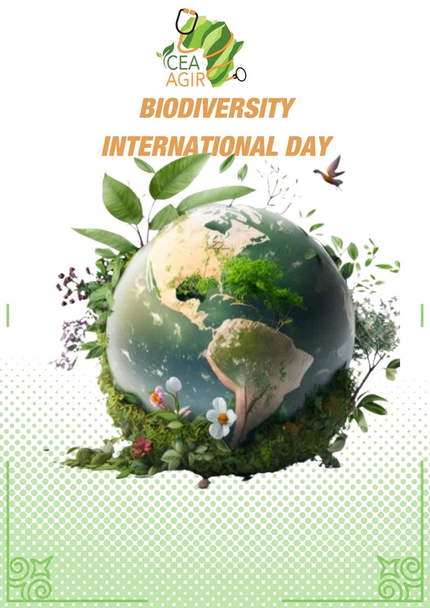 Journée internationale de la Biodiversité 22 Mai 2025.
Pour l’édition 2025, la journée a pour thème :« Harmonie avec la nature et le développement durable ».