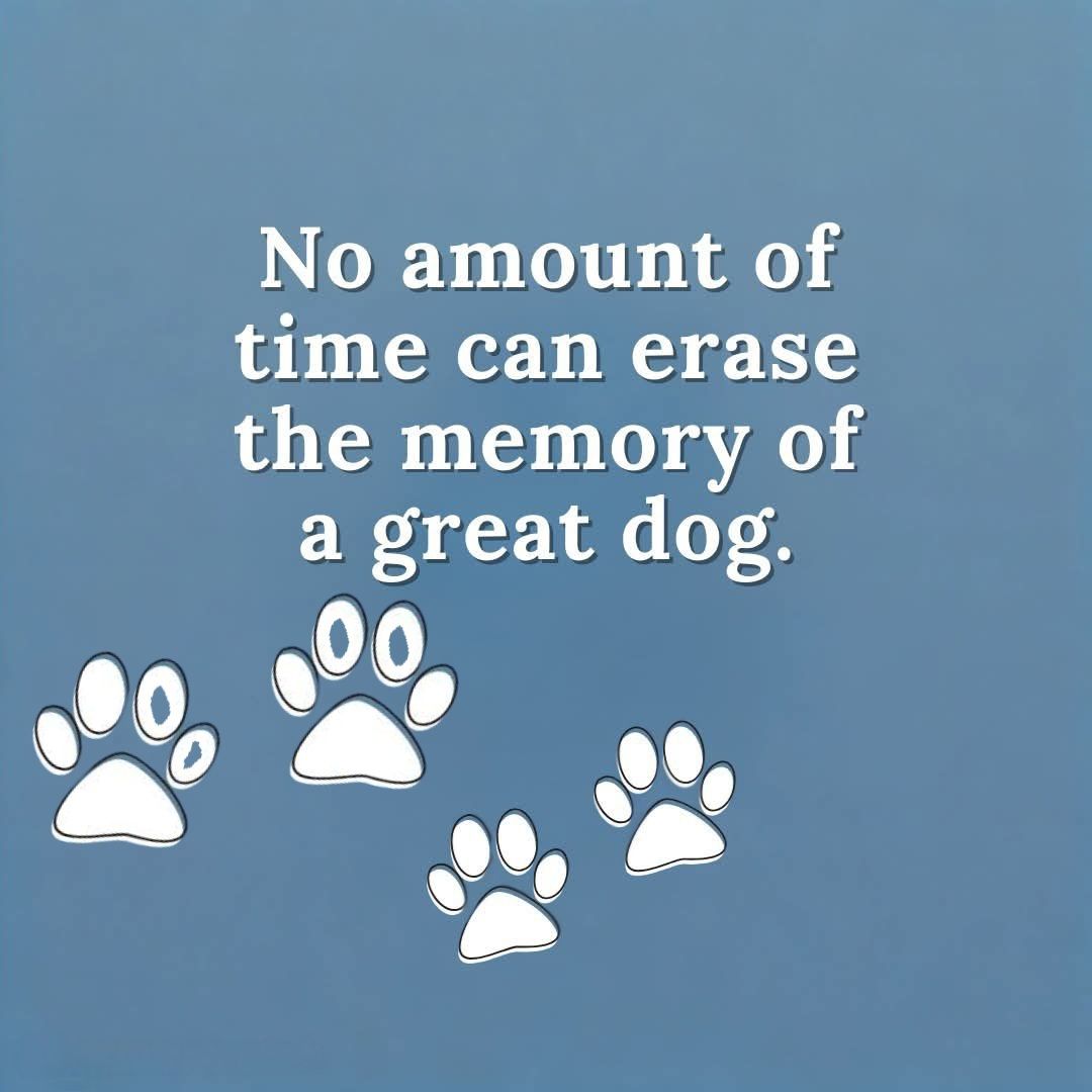 Dog Lovers (@doglovers03) on Twitter photo 