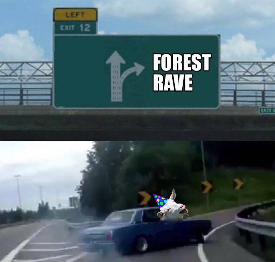 Goatse Forest Rave tweet media