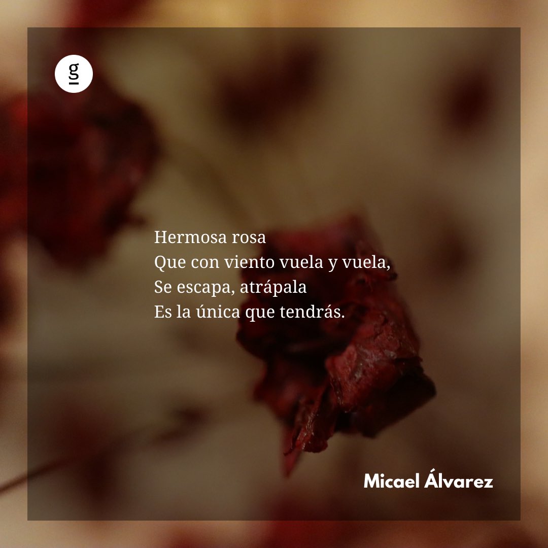 📌Puedes leer el texto completo en revistagrifo.udp.cl o en el siguiente link: 

revistagrifo.udp.cl/rosa-fugaz/