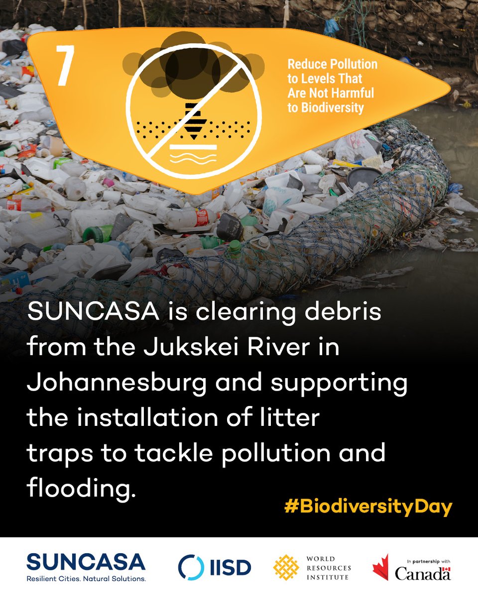 Today on #BiodiversityDay, #SUNCASA and 14 partners in #DireDawa 🇪🇹, #Johannesburg 🇿🇦, and #Kigali 🇷🇼 are celebrating our shared commitment to “harmony with nature and sustainable development.” 🌱