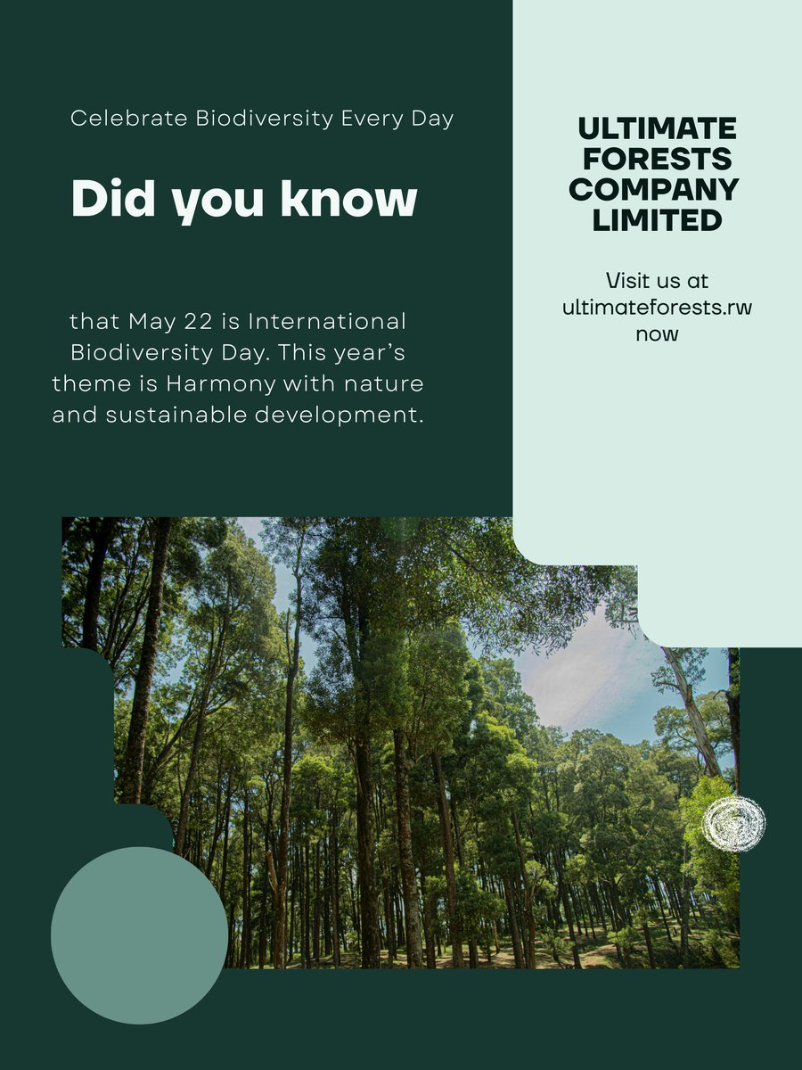 Ultimate Forests Company Ltd tweet media