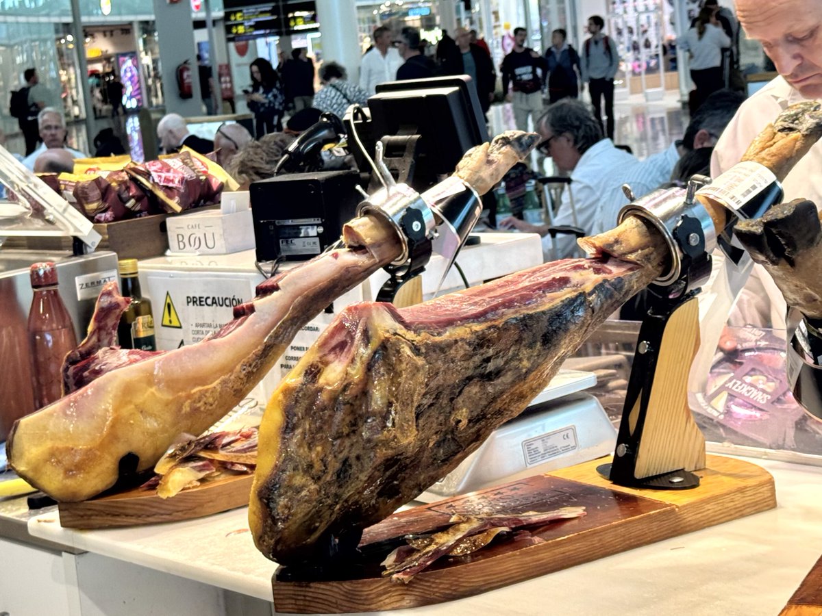 Wombat_Mätt ✭ tweet media