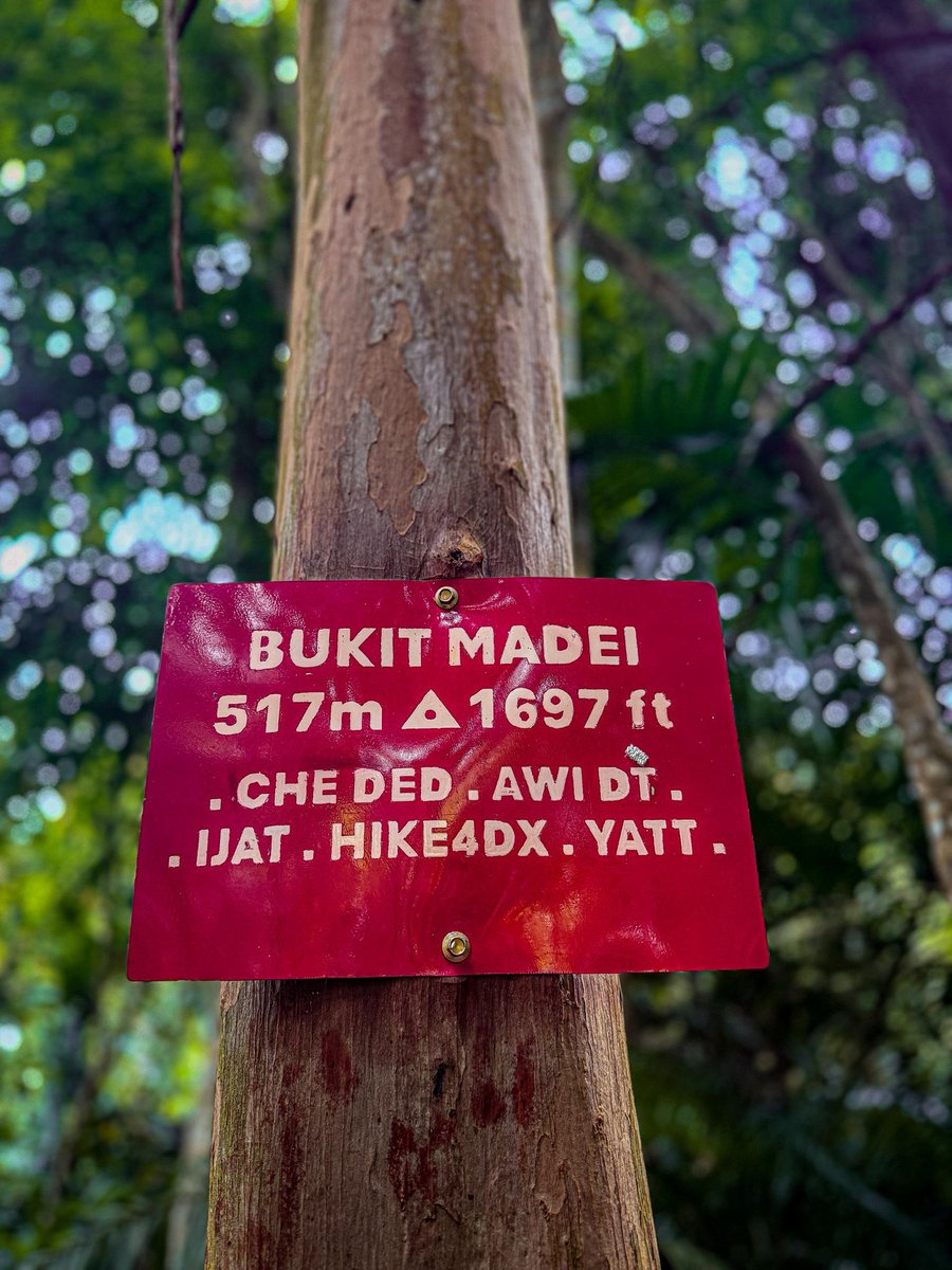 Roslan Md Taha tweet media