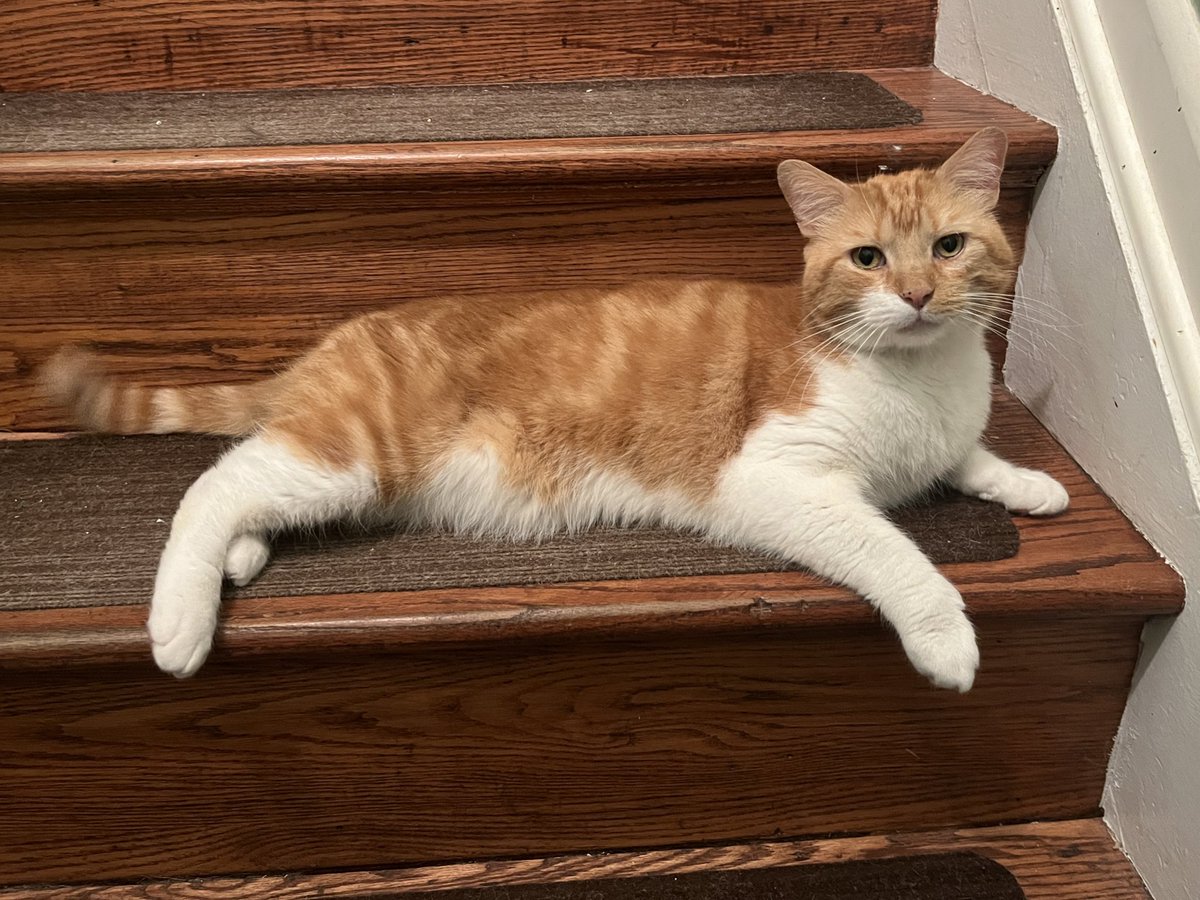 Congress is currently attempting to pass a bill that will ban transgender healthcare adults under Medicaid and ACA. It passed in the House, and moving to the Senate. Please tell your Senators to vote NO on HR1, to help transgender people like myself continue to access healthcare.