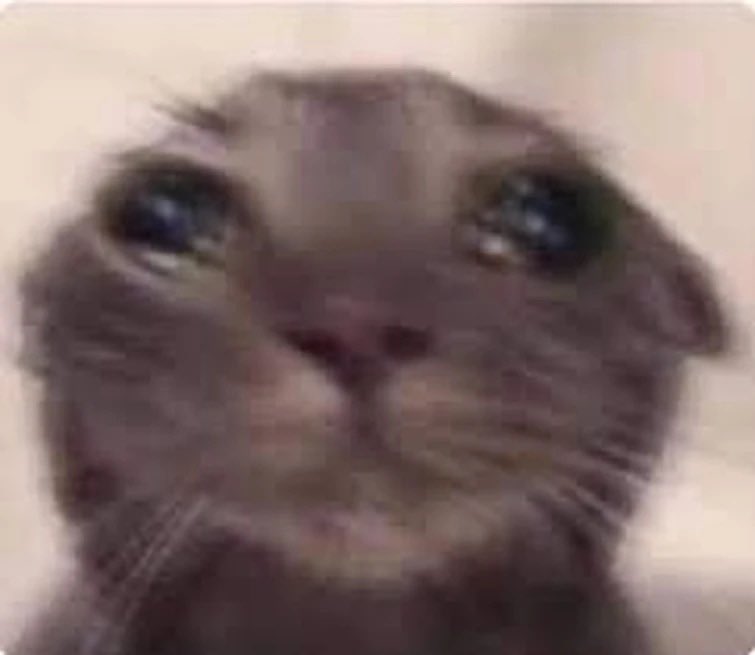 Koha Bolt โก๏ธ ๐ tweet media