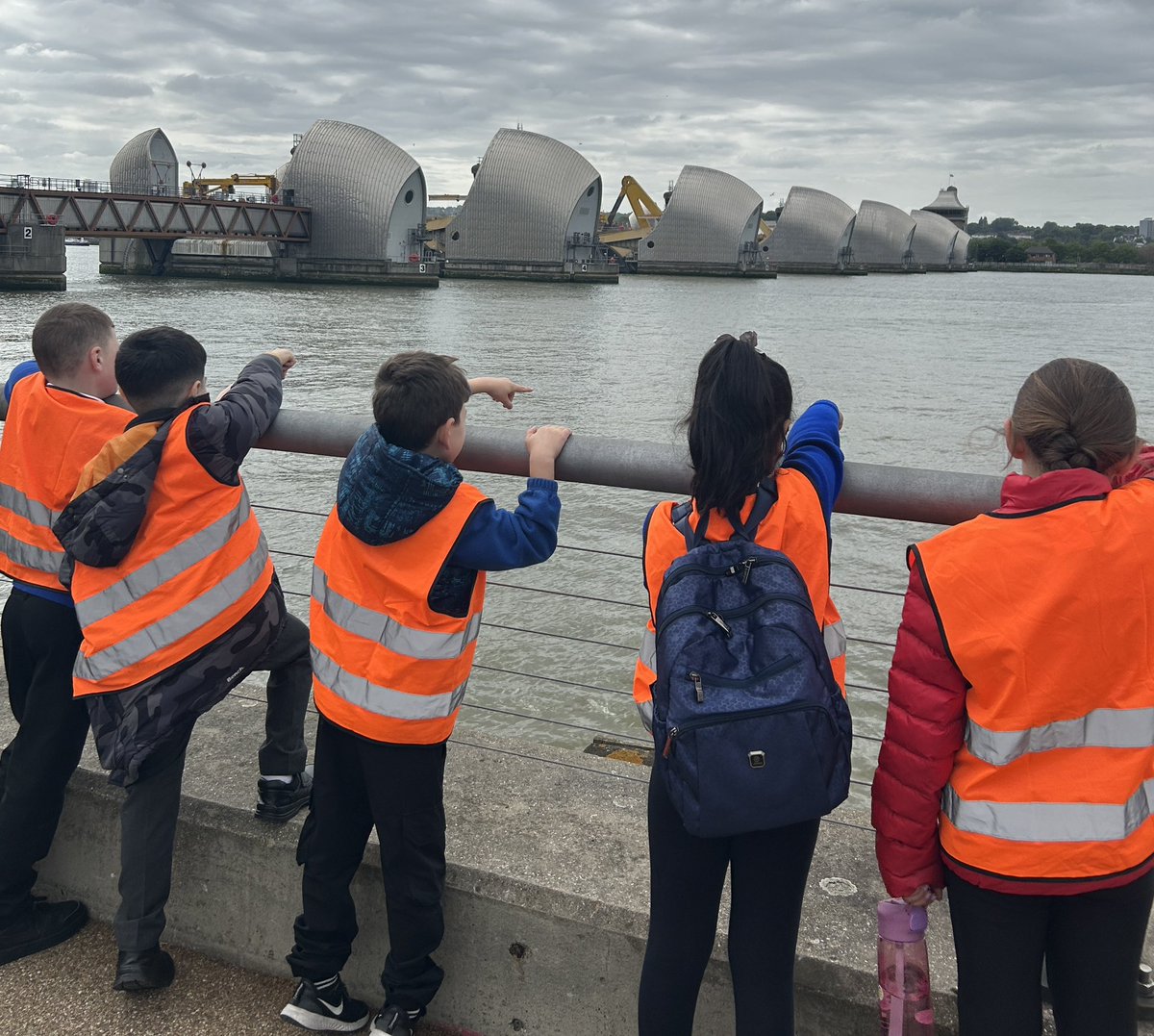 Foxfield - Year 3 tweet media