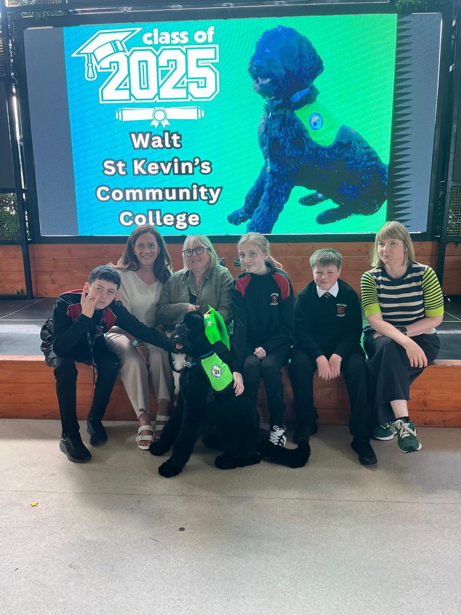 StKevinsCC (@stkevinscc1) on Twitter photo Our 6th years are not the only ones who graduate today! Our school therapy dog, Walt, graduated too! <a href="/mycaninecompani/">My Canine Companion</a> <a href="/ddletb/">Dublin & Dún Laoghaire ETB</a> instagram.com/reel/DJ9aXxusD… Our 6th years are not the only ones who graduate today! Our school therapy dog, Walt, graduated too! <a href="/mycaninecompani/">My Canine Companion</a> <a href="/ddletb/">Dublin & Dún Laoghaire ETB</a> instagram.com/reel/DJ9aXxusD…